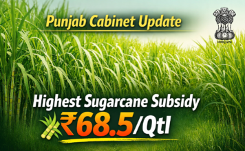 ਪੰਜਾਬ ਕੈਬਨਿਟ ਵੱਲੋਂ ਗੰਨੇ ‘ਤੇ ₹68.5 ਪ੍ਰਤੀ ਕਵਿੰਟਲ ਸਬਸਿਡੀ ਮਨਜ਼ੂਰ